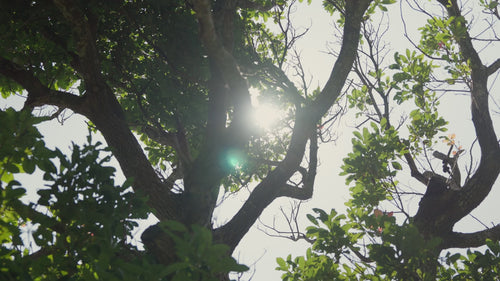 Yii | Concept Video | Skincare | 護膚品